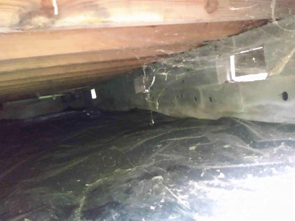 Crawlspace inspection findings