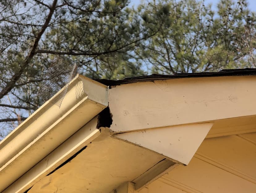 Roof damage and gutter inspection